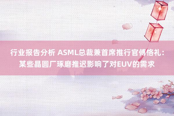 行业报告分析 ASML总裁兼首席推行官傅恪礼：某些晶圆厂琢磨推迟影响了对EUV的需求