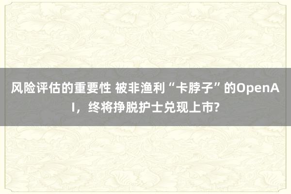 风险评估的重要性 被非渔利“卡脖子”的OpenAI，终将挣脱护士兑现上市?