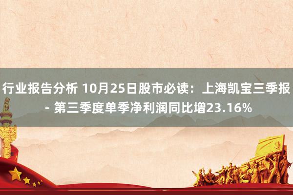 行业报告分析 10月25日股市必读：上海凯宝三季报 - 第三季度单季净利润同比增23.16%