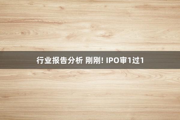 行业报告分析 刚刚! IPO审1过1