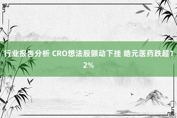 行业报告分析 CRO想法股颤动下挫 皓元医药跌超12%