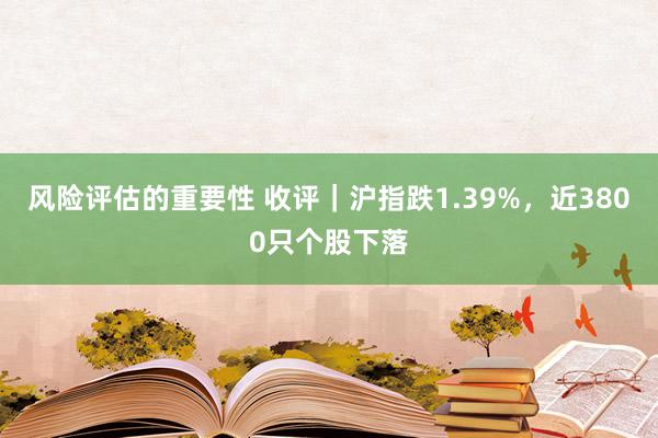 风险评估的重要性 收评｜沪指跌1.39%，近3800只个股下落