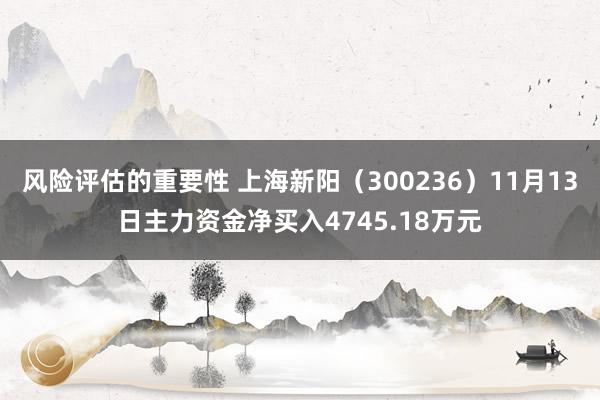 风险评估的重要性 上海新阳（300236）11月13日主力资金净买入4745.18万元