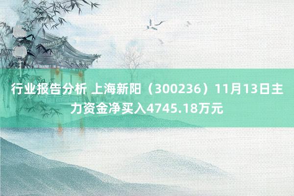 行业报告分析 上海新阳（300236）11月13日主力资金净买入4745.18万元