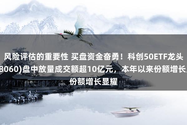 风险评估的重要性 买盘资金奋勇！科创50ETF龙头(588060)盘中放量成交额超10亿元，本年以来份额增长显耀