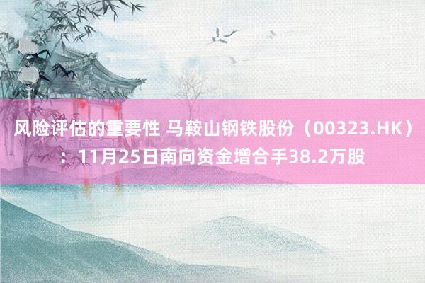 风险评估的重要性 马鞍山钢铁股份（00323.HK）：11月25日南向资金增合手38.2万股