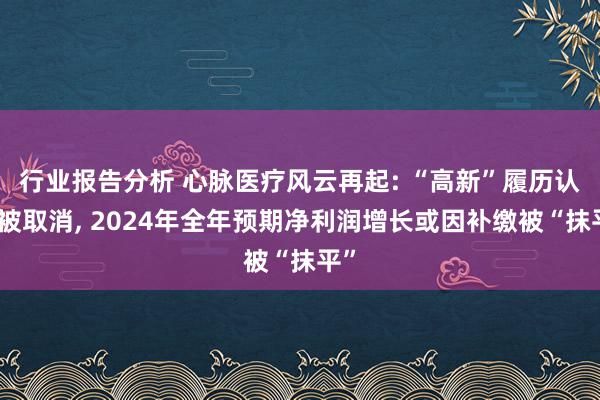 行业报告分析 心脉医疗风云再起: “高新”履历认定被取消, 2024年全年预期净利润增长或因补缴被“抹平”