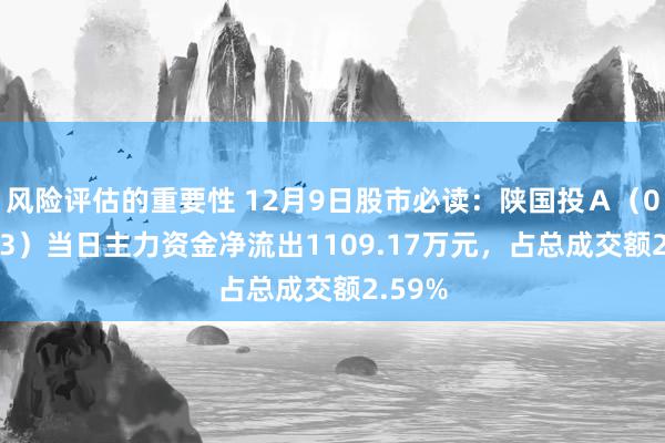 风险评估的重要性 12月9日股市必读：陕国投Ａ（000563）当日主力资金净流出1109.17万元，占总成交额2.59%