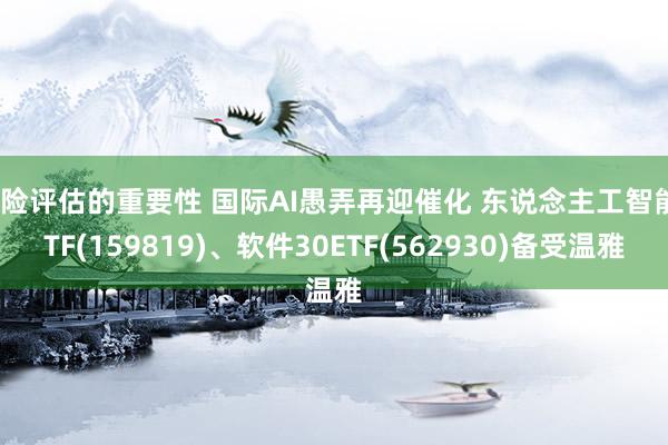 风险评估的重要性 国际AI愚弄再迎催化 东说念主工智能ETF(159819)、软件30ETF(562930)备受温雅