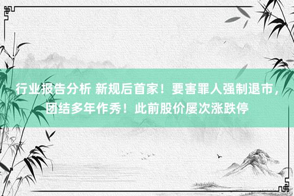 行业报告分析 新规后首家！要害罪人强制退市，团结多年作秀！此前股价屡次涨跌停