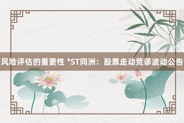 风险评估的重要性 *ST同洲：股票走动荒谬波动公告