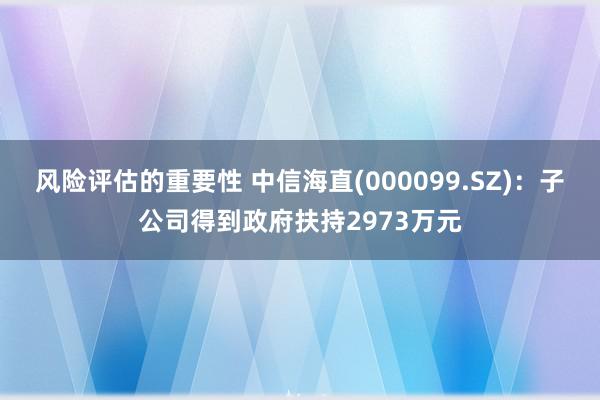 风险评估的重要性 中信海直(000099.SZ)：子公司得到政府扶持2973万元