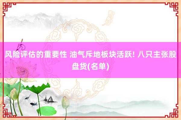 风险评估的重要性 油气斥地板块活跃! 八只主张股盘货(名单)