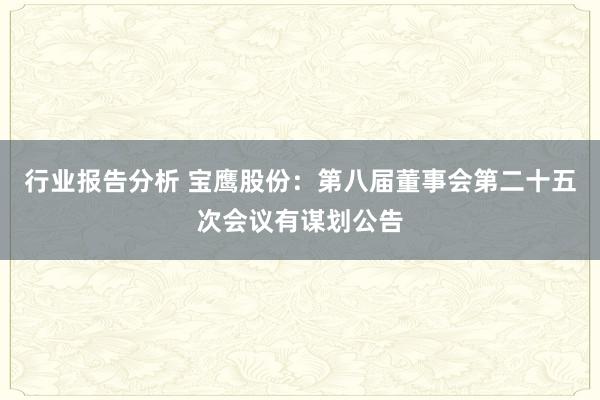 行业报告分析 宝鹰股份：第八届董事会第二十五次会议有谋划公告