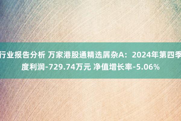 行业报告分析 万家港股通精选羼杂A：2024年第四季度利润-729.74万元 净值增长率-5.06%