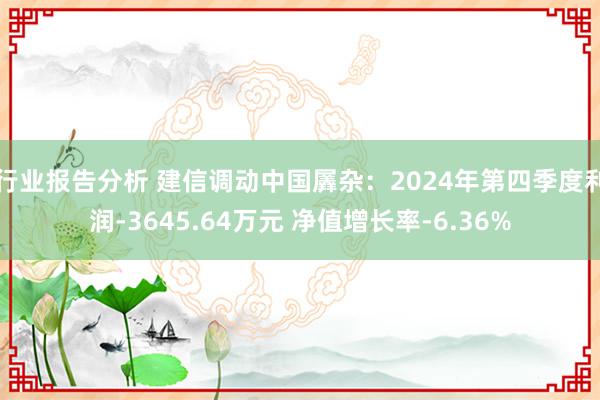 行业报告分析 建信调动中国羼杂：2024年第四季度利润-3645.64万元 净值增长率-6.36%