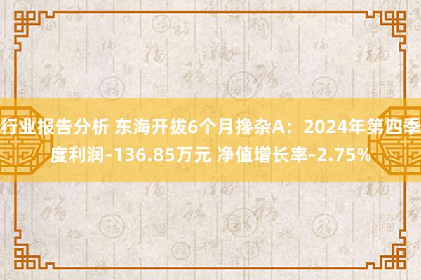 行业报告分析 东海开拔6个月搀杂A：2024年第四季度利润-136.85万元 净值增长率-2.75%