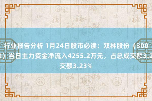 行业报告分析 1月24日股市必读：双林股份（300100）当日主力资金净流入4255.2万元，占总成交额3.23%