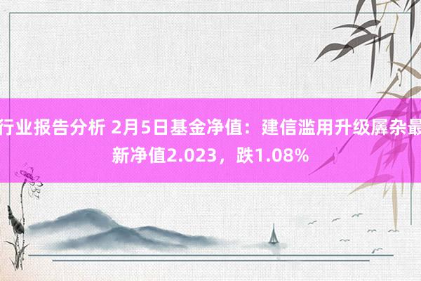 行业报告分析 2月5日基金净值：建信滥用升级羼杂最新净值2.023，跌1.08%