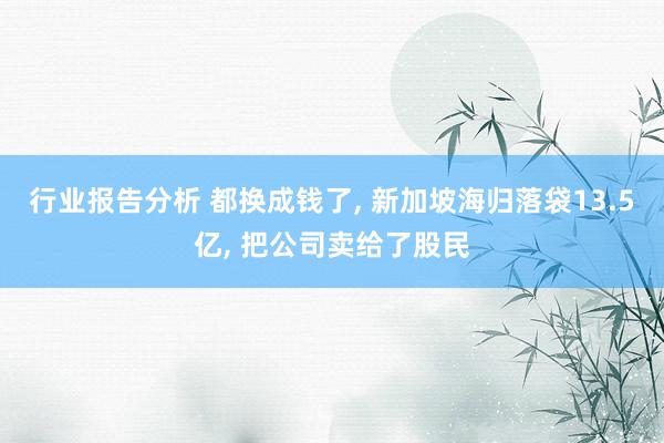 行业报告分析 都换成钱了, 新加坡海归落袋13.5亿, 把公司卖给了股民