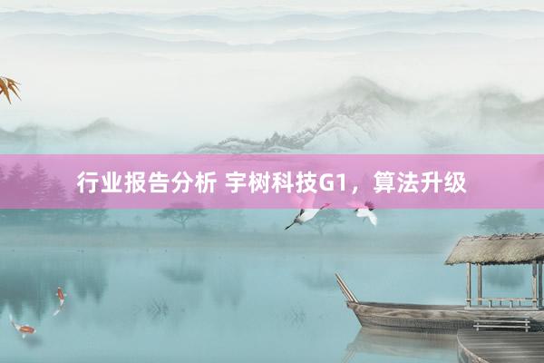 行业报告分析 宇树科技G1，算法升级