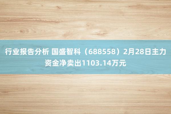 行业报告分析 国盛智科（688558）2月28日主力资金净卖出1103.14万元