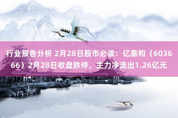 行业报告分析 2月28日股市必读：亿嘉和（603666）2月28日收盘跌停，主力净流出1.26亿元