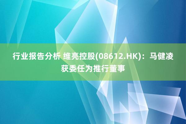 行业报告分析 维亮控股(08612.HK)：马健凌获委任为推行董事