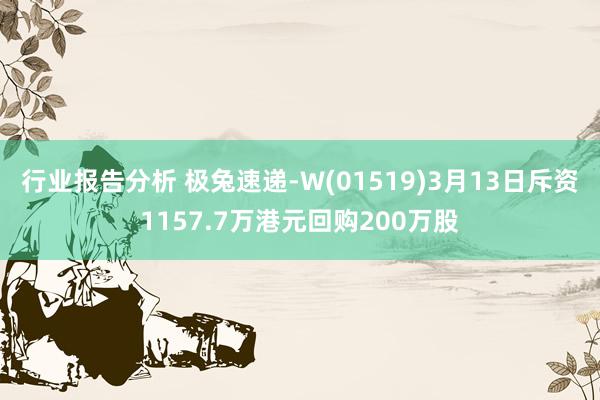 行业报告分析 极兔速递-W(01519)3月13日斥资1157.7万港元回购200万股