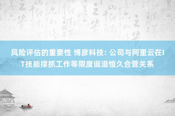 风险评估的重要性 博彦科技: 公司与阿里云在IT技能撑抓工作等限度诞滋恒久合营关系