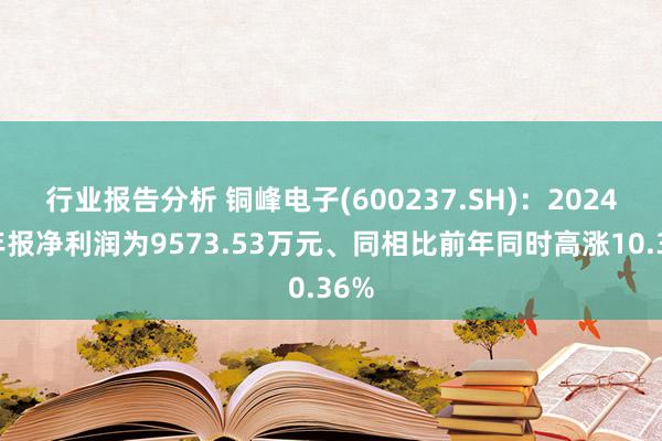 行业报告分析 铜峰电子(600237.SH)：2024年年报净利润为9573.53万元、同相比前年同时高涨10.36%