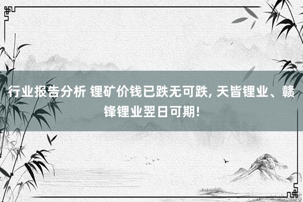 行业报告分析 锂矿价钱已跌无可跌, 天皆锂业、赣锋锂业翌日可期!