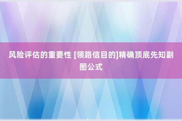 风险评估的重要性 [领路信目的]精确顶底先知副图公式